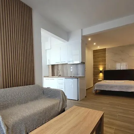Sea View Apartment Nea Skioni